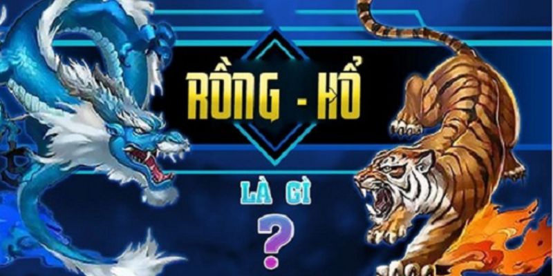 Đôi nét về game Rồng Hổ