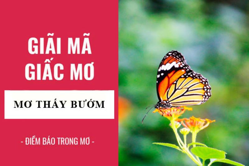 Mơ Thấy Con Bướm